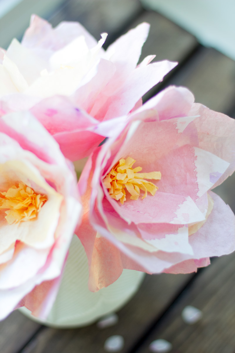 DIY Blumen aus Kaffeefiltern selbermachen! Geschenk für den Muttertag