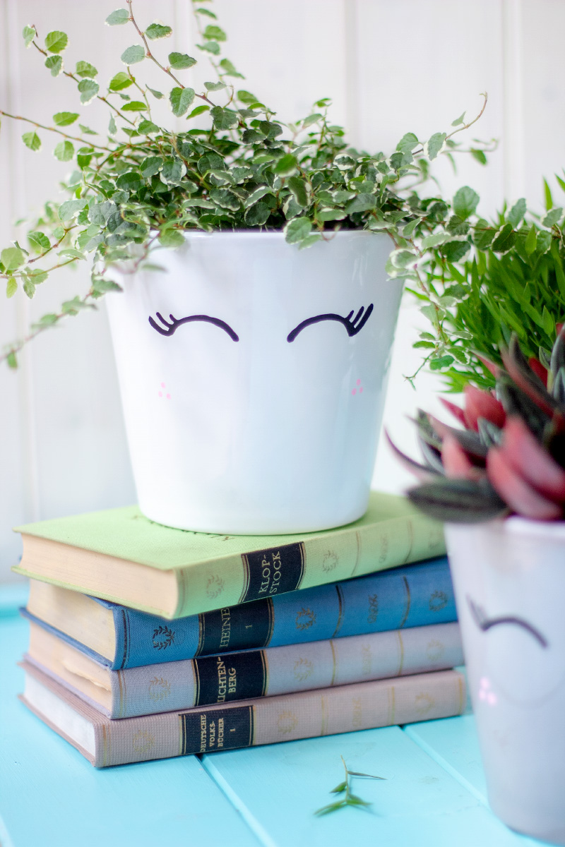 DIY Blumentopf-Upcycling & die besten Zimmerpflanzen für dein Zuhausee