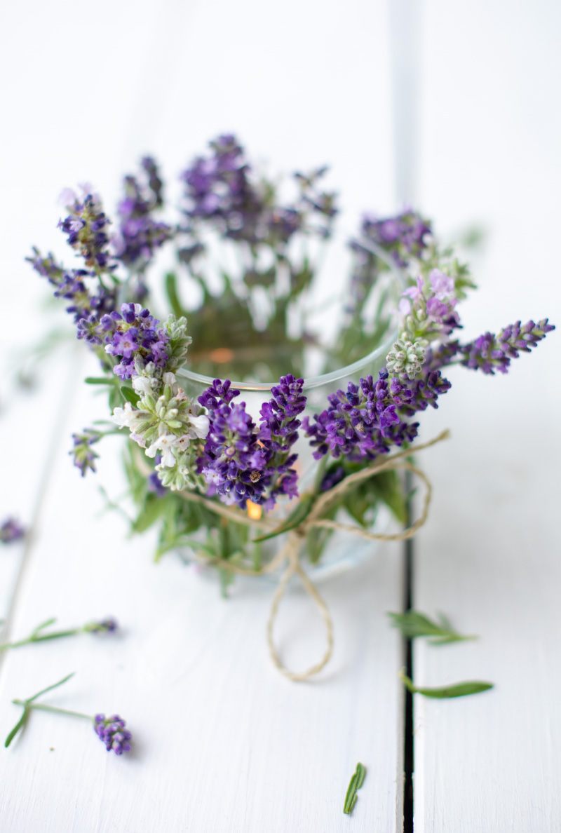 Lavendel-Teelichter - Die perfekte Sommerdeko