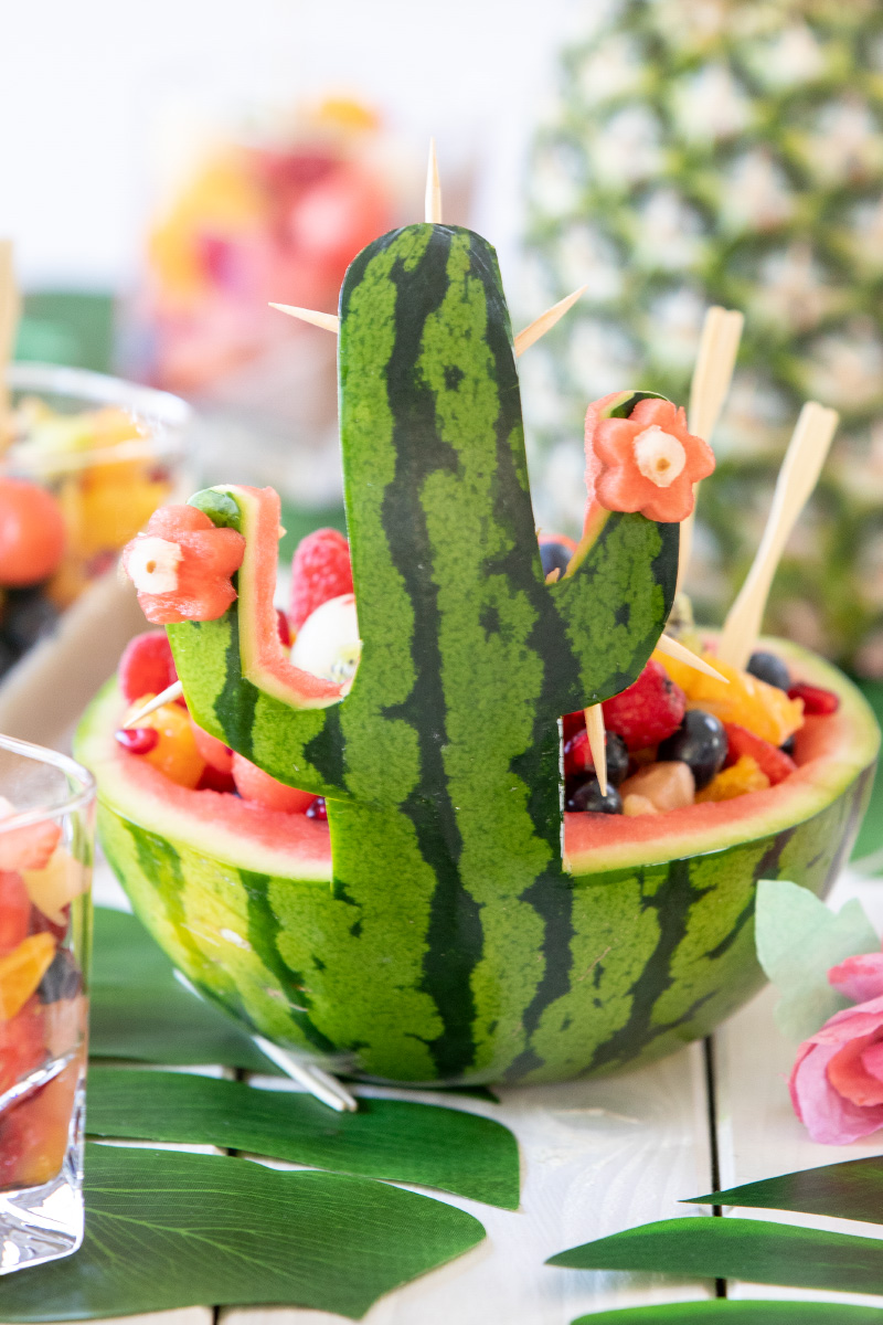 Kaktusschale aus einer Wassermelone