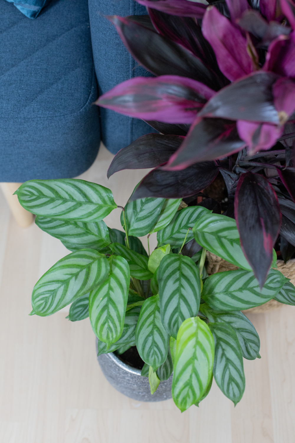 XXL Pflanzen Makeover Wohnzimmer / Home Office + DIY für stylischen Pflanzenhalter