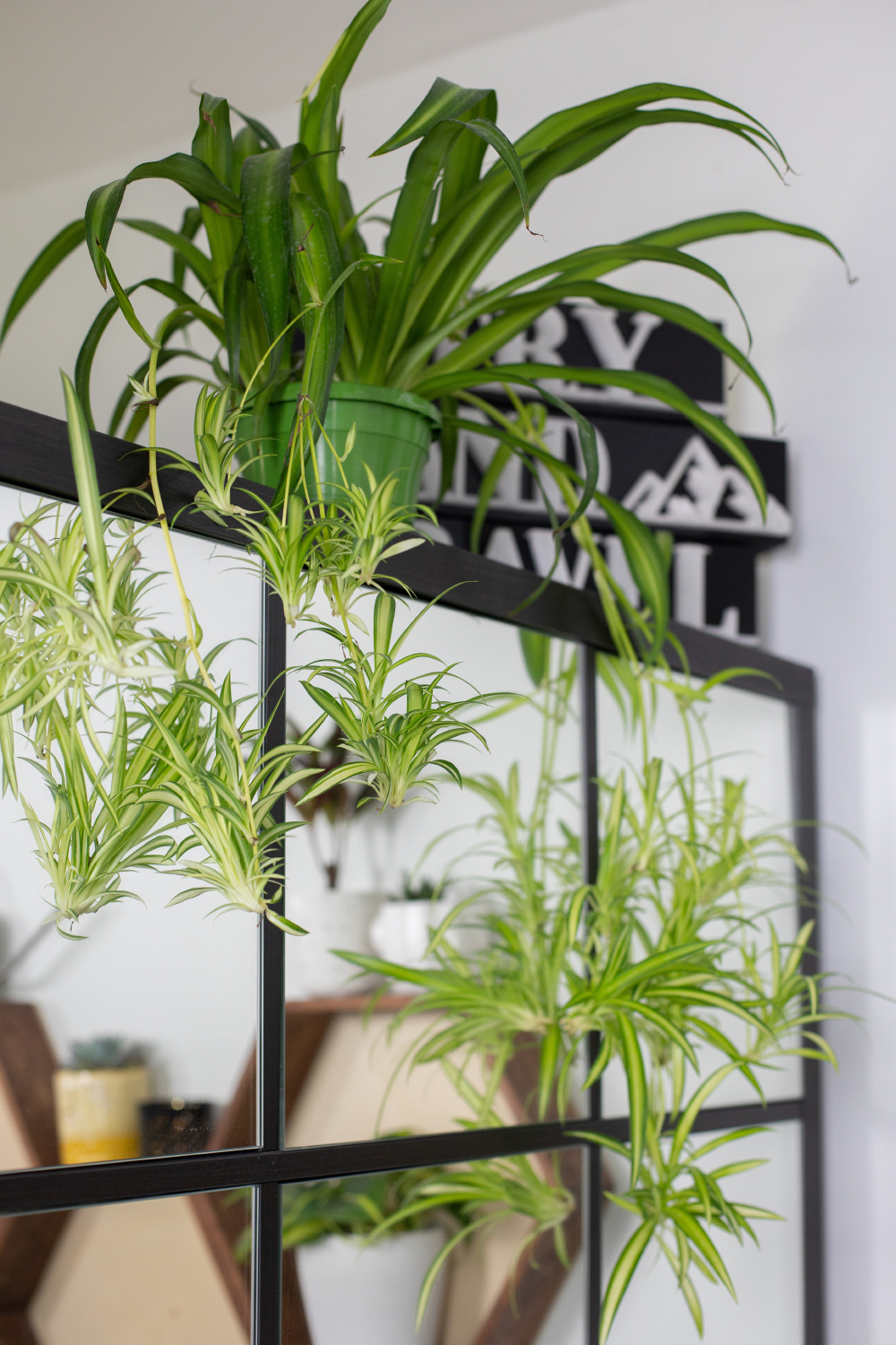XXL Pflanzen Makeover Wohnzimmer / Home Office + DIY für stylischen Pflanzenhalter