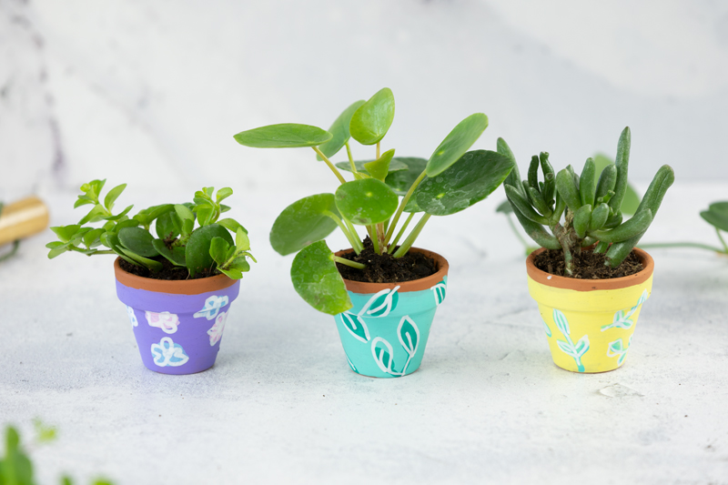Kleines Geschenk: Mini Pflanzen im DIY Blumentopf verschenken #DIYYearChallenge