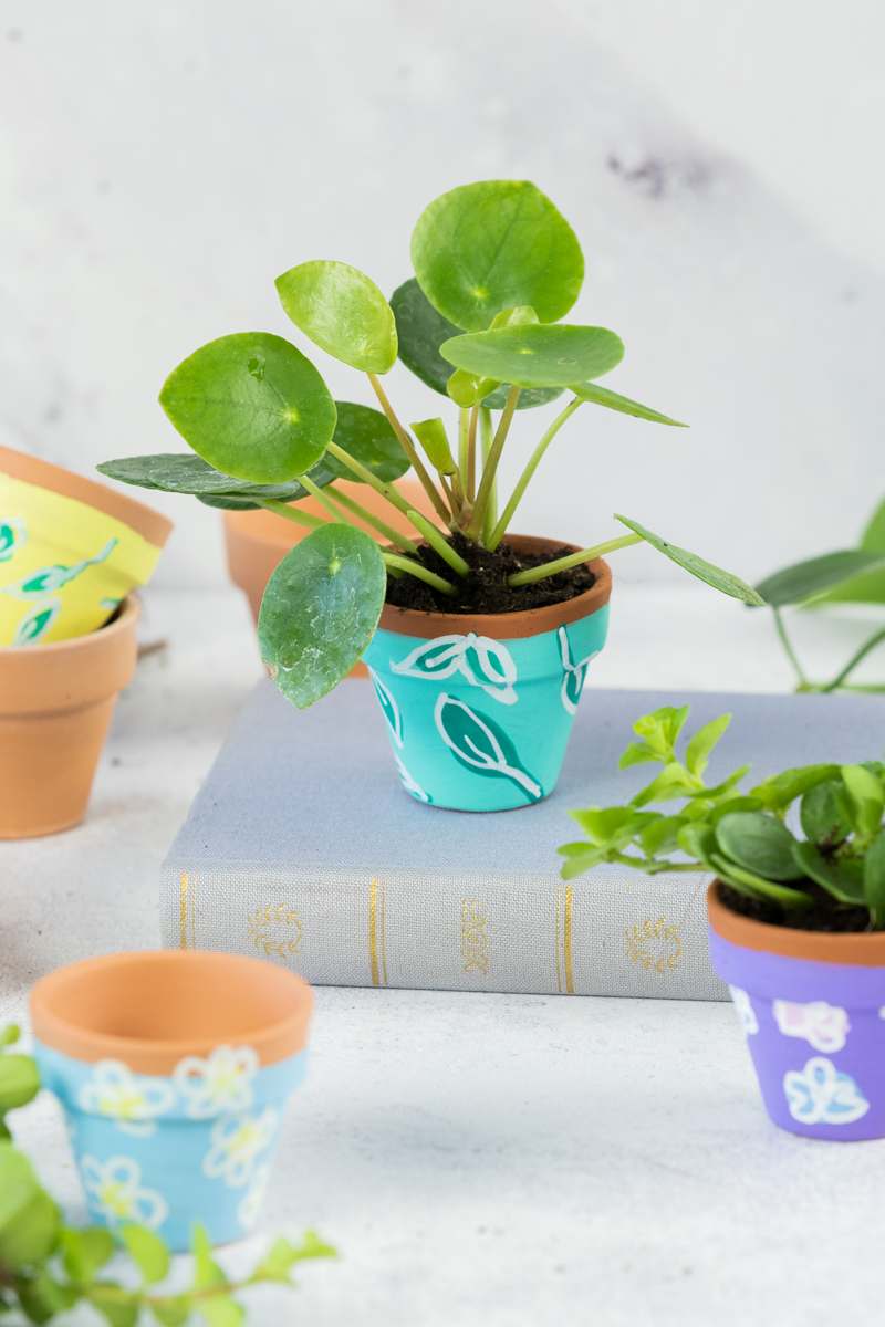 Kleines Geschenk: Mini Pflanzen im DIY Blumentopf verschenken