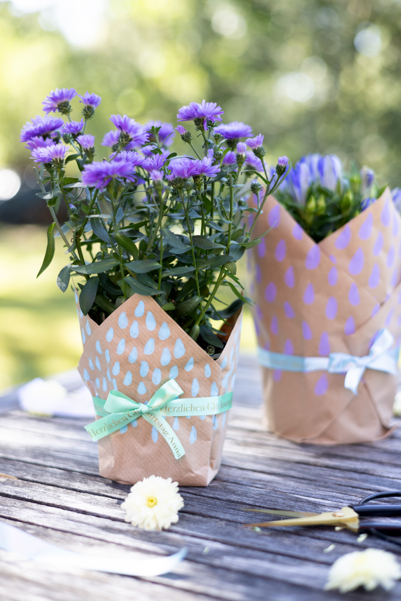 Blumentopf schön als Geschenk verpacken
