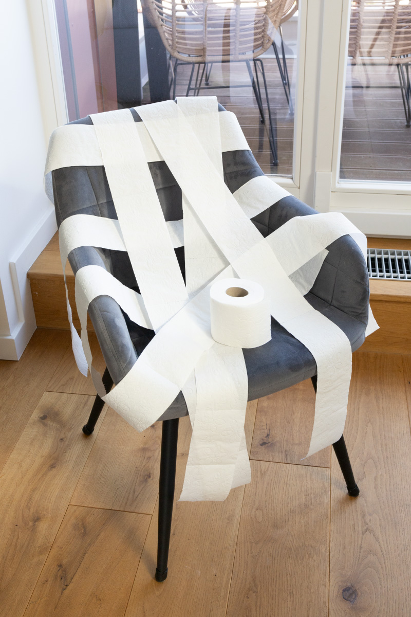 Toilet paper chair