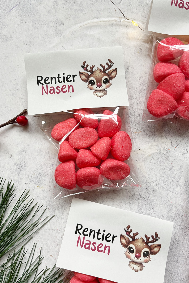 Gift idea reindeer noses: template to print out