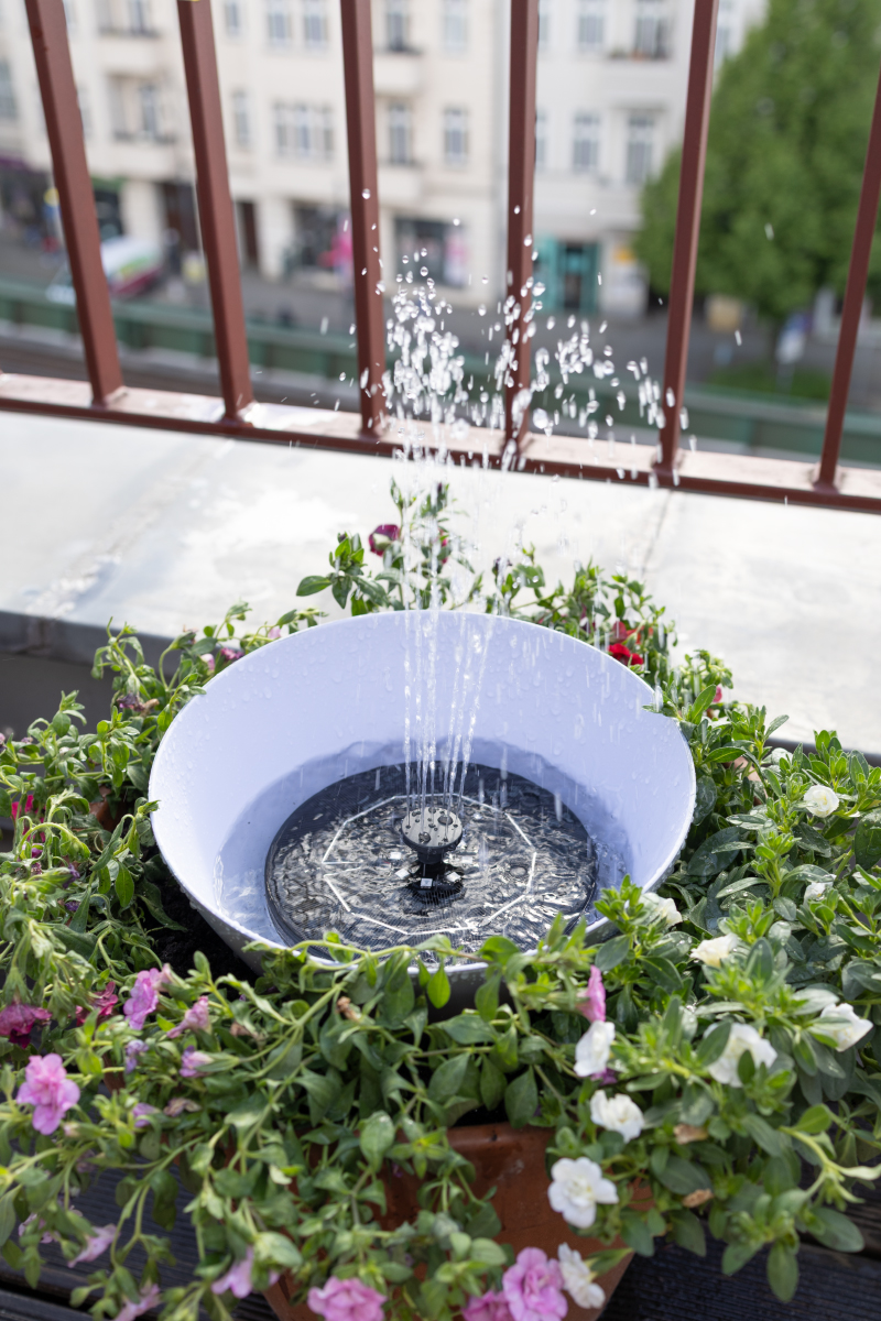 DIY Solarbrunnen für den Balkon: Mini-Teich mit Solarpumpe & Bienentränke