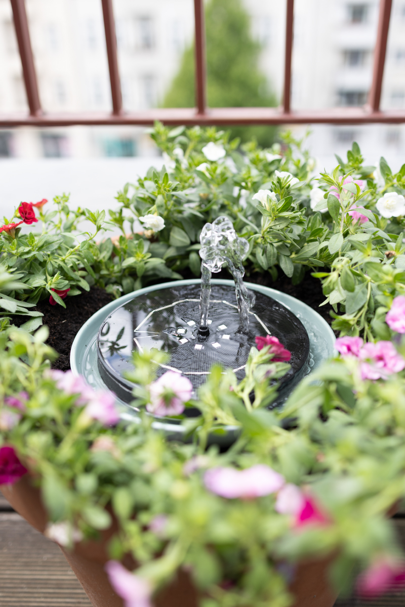 DIY Solarbrunnen für den Balkon: Mini-Teich mit Solarpumpe & Bienentränke
