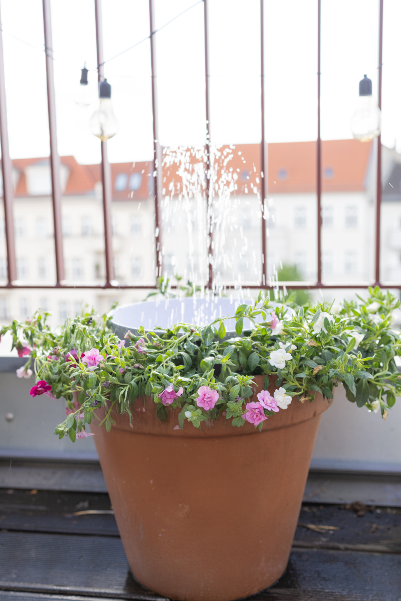 DIY Solarbrunnen für den Balkon: Mini-Teich mit Solarpumpe & Bienentränke
