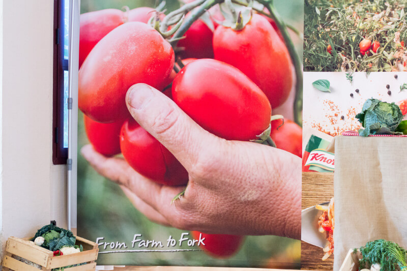 From Farm to Fork - Auf den Tomatenfeldern in Spanien
