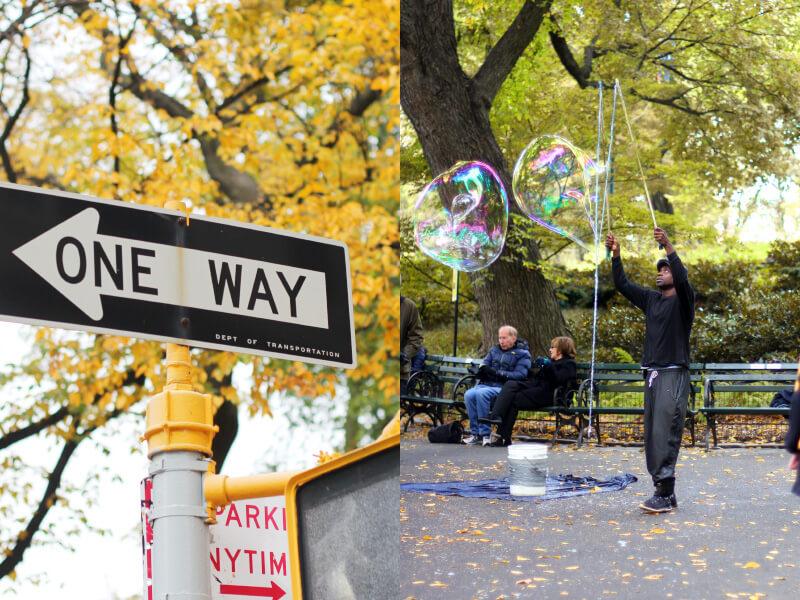 Das grüne New York - Central Park & Greenwich Village