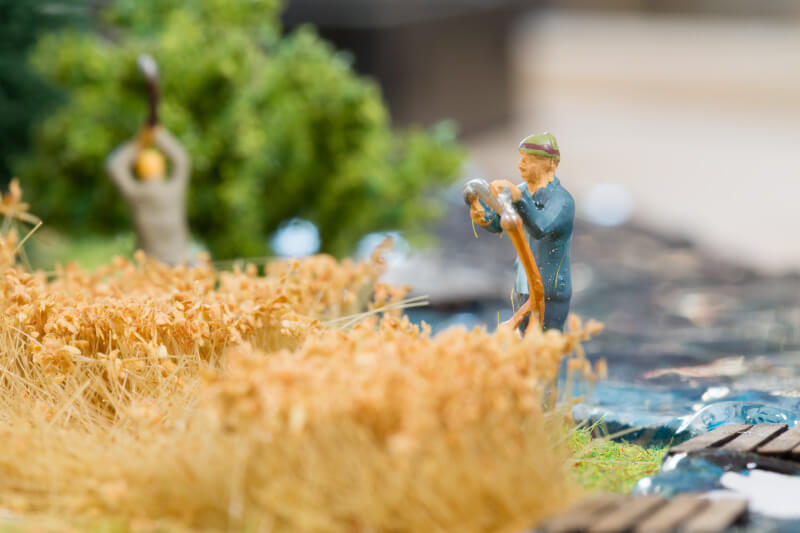 Die Siedler von Catan in 3D, Getreide Feld
