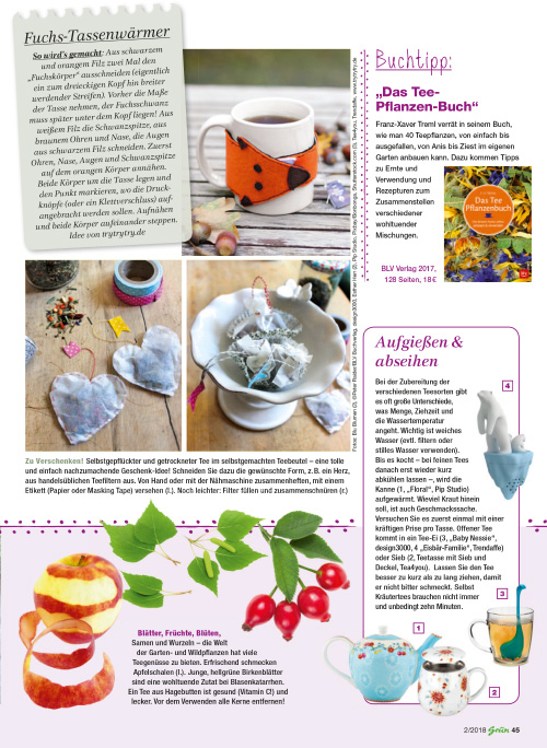 Abdruck meines Tassenwärmers in der Zeitschrift Grün 2/2018, Seite 45