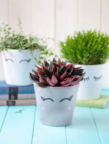 DIY Blumentopf-Upcycling & die besten Zimmerpflanzen für dein Zuhause