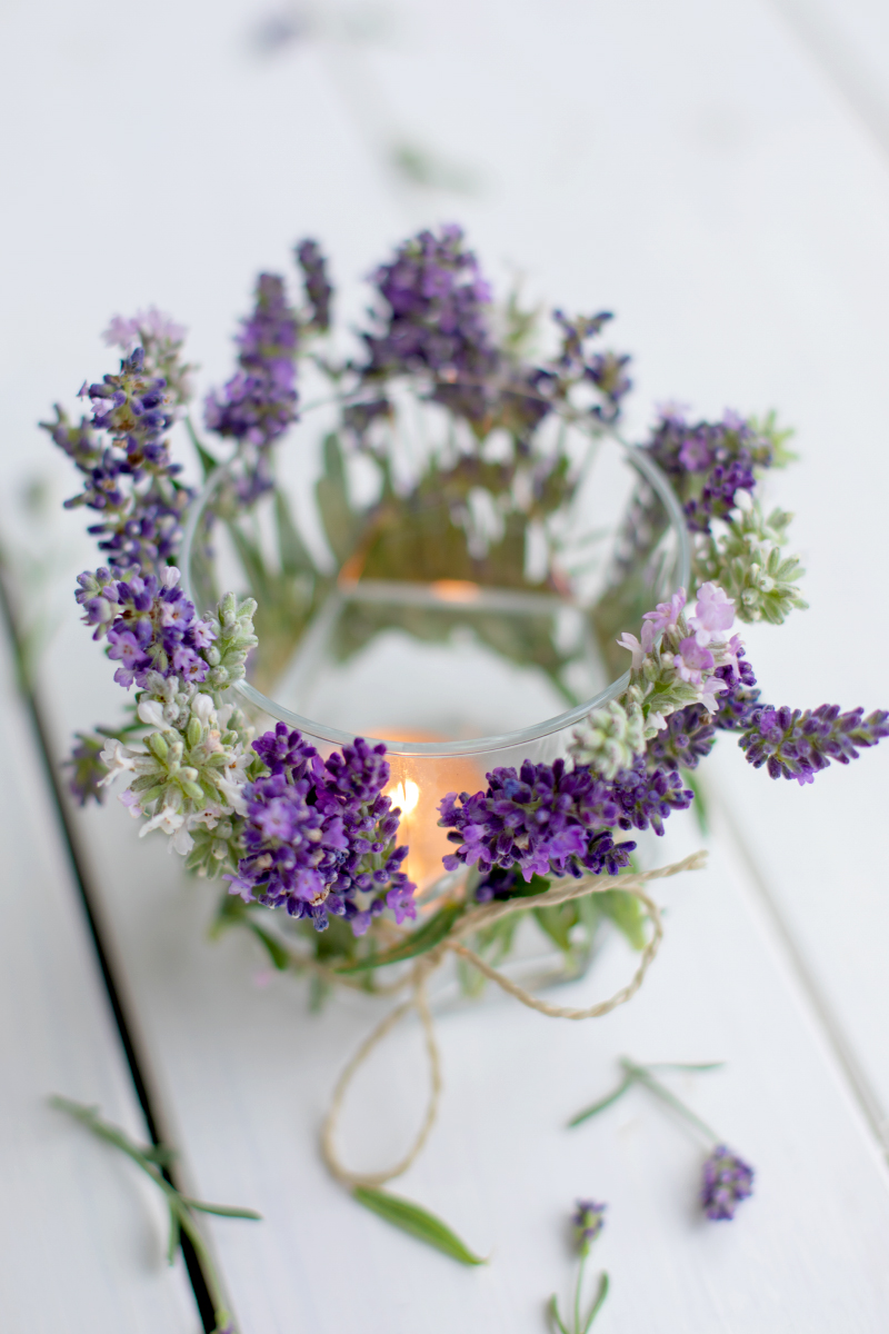 Lavendel-Teelichter