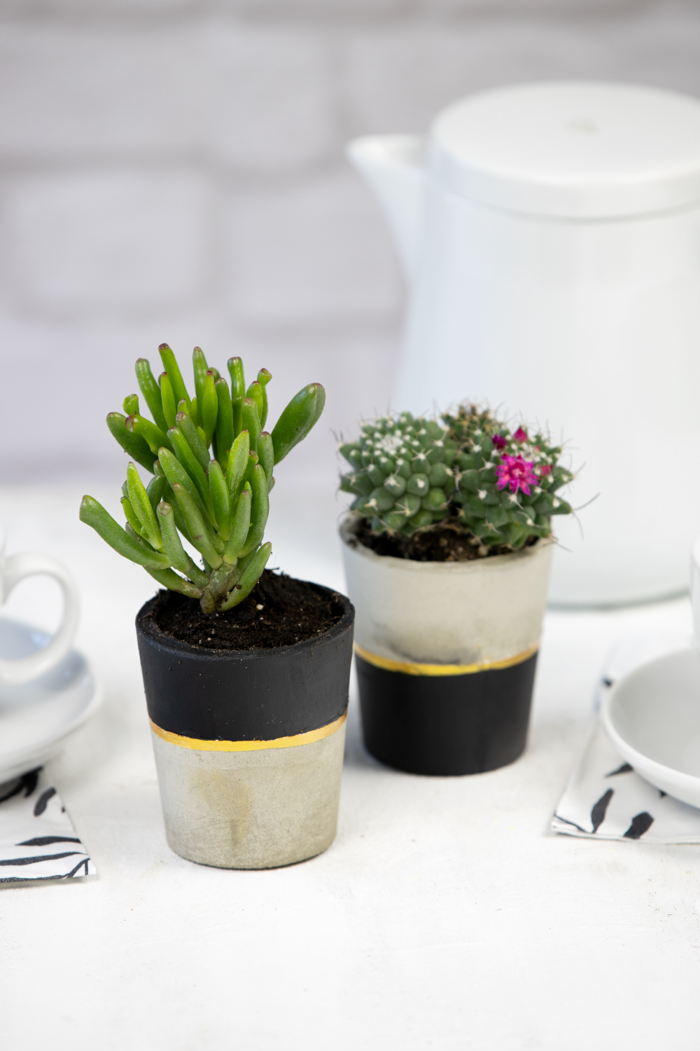 DIY Beton-Pflanztöpfe aus Kaffeebechern mit Gala Nr. 1
