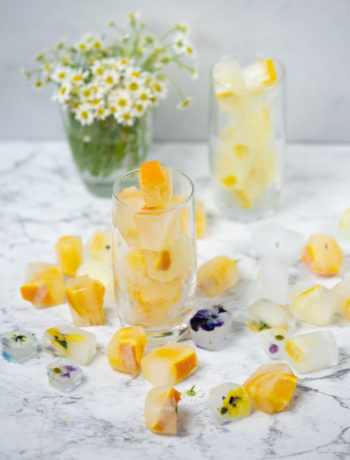 Dekorative Eiswürfel mit Orange, Zitrone und Blumen selbermachen