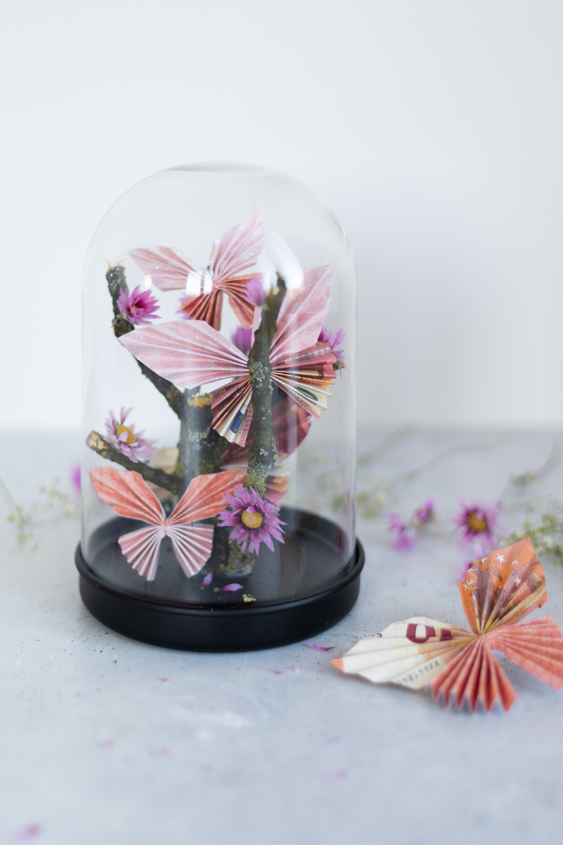 Schmetterlinge falten aus Geld in der Glasglocke