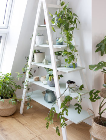Pflanzenregal aus Leiter selber machen #DIYYearchallenge
