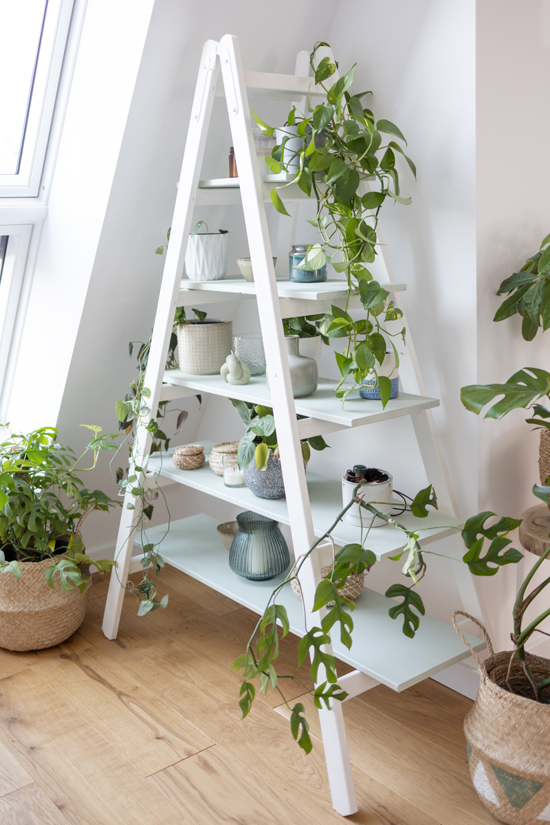 Pflanzenregal aus Leiter selber machen #DIYYearchallenge