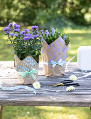 Blumentopf schön als Geschenk verpacken #DIYYearChallenge