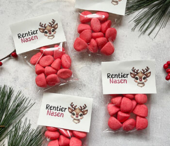 Geschenkidee Rentier-Nasen: Vorlage zum Ausdrucken