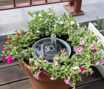 DIY Solarbrunnen für den Balkon: Mini-Teich mit Solarpumpe & Bienentränke