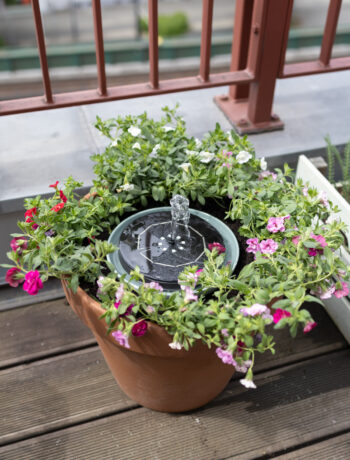 DIY Solarbrunnen für den Balkon: Mini-Teich mit Solarpumpe & Bienentränke