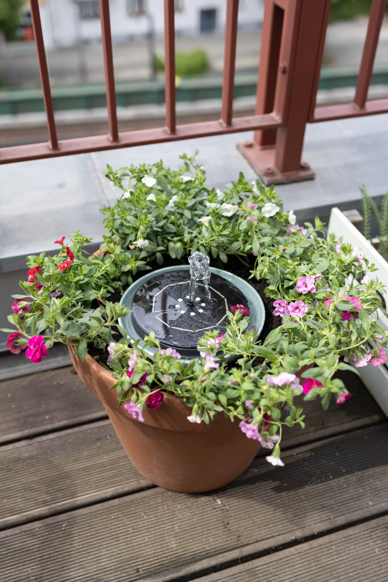 DIY Solarbrunnen für den Balkon: Mini-Teich mit Solarpumpe & Bienentränke