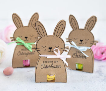 DIY Oster Gastgeschenk: Osterhasen für Pralinen einfach selber basteln