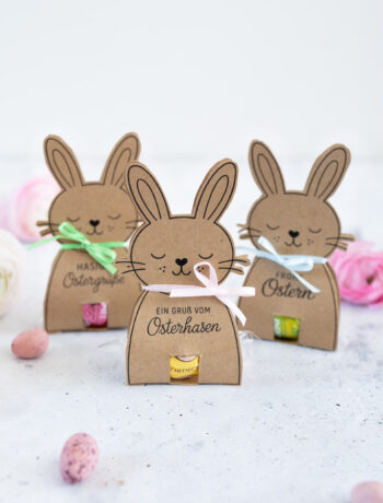 DIY Oster Gastgeschenk: Osterhasen für Pralinen einfach selber basteln